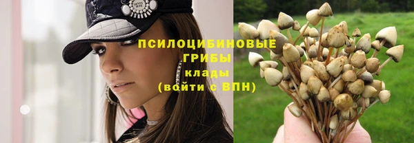 твердый Алзамай