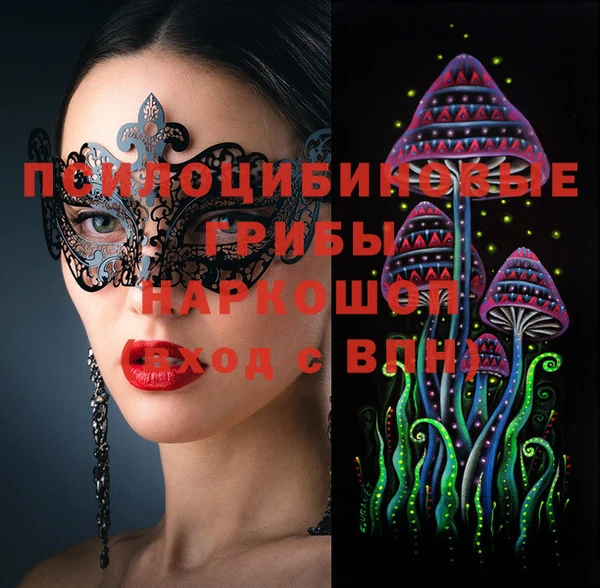 твердый Алзамай