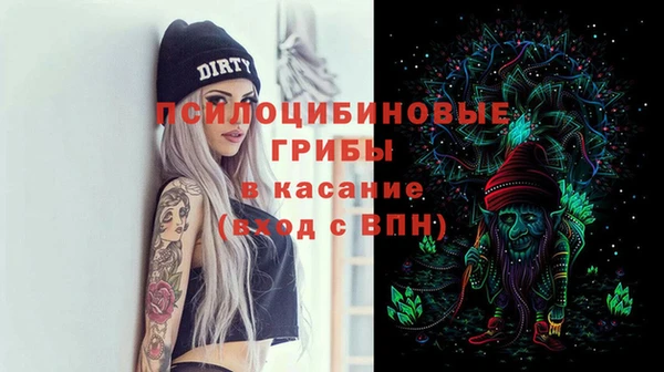 твердый Алзамай