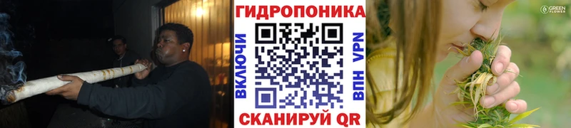 Канабис конопля купить Новая Ладога